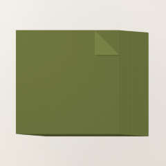 MOSSY MEADOW 12" X 12" (30.5 X 30.5 CM) TWO-TONE CARDSTOCK