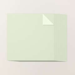 SOFT SEA FOAM 12" X 12" (30.5 X 30.5 CM) TWO-TONE CARDSTOCK
