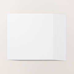 WHITE WILLOW 12" X 12" (30.5 X 30.5 CM) CARDSTOCK