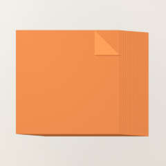 PAPIER CARTONNÉ À DEUX TONS 12" X 12" (30,5 X 30,5 CM) TIGRE TIMIDE