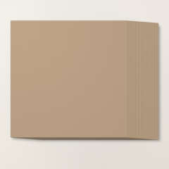CRUMB CAKE 12" X 12" (30.5 X 30.5 CM) CARDSTOCK
