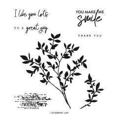 NATURE'S SYMPHONY PHOTOPOLYMER STAMP SET (ENGLISH)