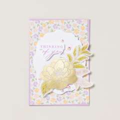 BEAUTIFULLY CELEBRATED BUNDLE (ENGLISH)