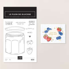 SET DE TAMPONS EN RÉSINE LE PLEIN DE GLUCOSE (FRANÇAIS)
