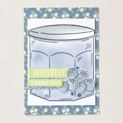 MISTY MOONLIGHT 1/4" (6.4 MM) CHECKERED TRIM