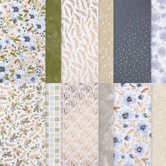 DELICATE DREAMS SUITE COLLECTION (ENGLISH)