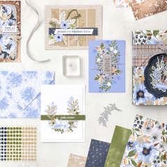 RÊVES DÉLICATS SUITE COLLECTION (FRENCH)