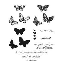 VOLTIGE AMICALE BUNDLE (FRENCH)