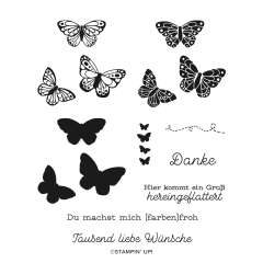 PRODUKTPAKET FARBENFROHE FLÜGEL (DEUTSCH)