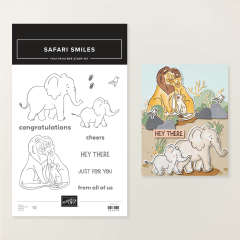 STEMPELSET KLARSICHT SAFARI SMILES (ENGLISCH)