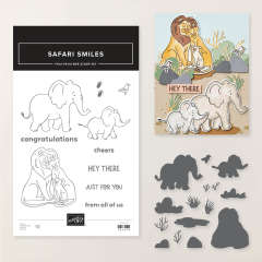 SAFARI SMILES BUNDLE (ENGLISH)
