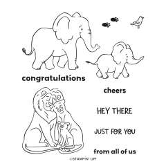 SAFARI SMILES BUNDLE (ENGLISH)