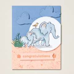 SAFARI SMILES BUNDLE (ENGLISH)
