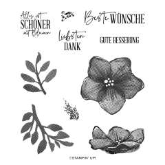 PRODUKTPAKET FLORALE OPULENZ (DEUTSCH)