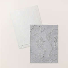 HUNDRED ACRE WOODS 3D EMBOSSING FOLDER