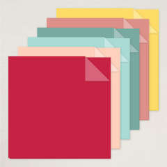 EXTRAORDINARY LIFE 12" X 12" (30.5 X 30.5 CM) TWO-TONE CARDSTOCK