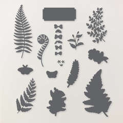 FLORE ET FOUGÈRE BUNDLE (FRENCH)