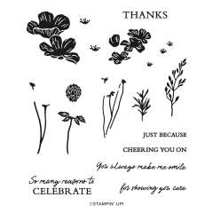 FLOWERING MEADOW BUNDLE (ENGLISH)