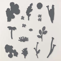 FLOWERING MEADOW BUNDLE (ENGLISH)
