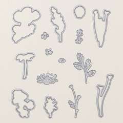 FLOWERING MEADOW BUNDLE (ENGLISH)
