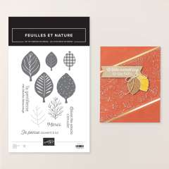 SET DE TAMPONS EN RÉSINE FEUILLES ET NATURE (FRANÇAIS)