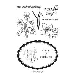VIOLETTES ENCADRÉES PHOTOPOLYMER STAMP SET (FRENCH)