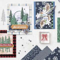 ASSORTIMENT DE COLLECTION ALPINER WINTER (ALLEMAND)