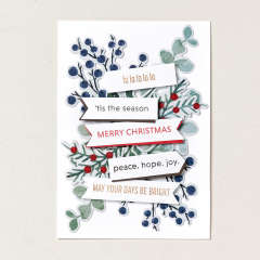 SOIREE SALUTATIONS PHOTOPOLYMER STAMP SET (ENGLISH)