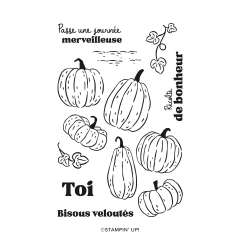 LOT CITROUILLES PEINTES (FRANÇAIS)