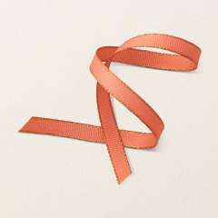 CALYPSO CORAL WITH COPPER BORDER 3/8" (1 CM) RIBBON