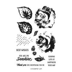 BEGONIA BELLE PHOTOPOLYMER STAMP SET (ENGLISH)