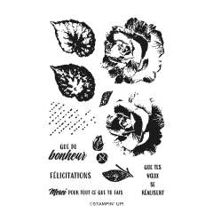 BÉGONIAS EN BEAUTÉ PHOTOPOLYMER STAMP SET (FRENCH)
