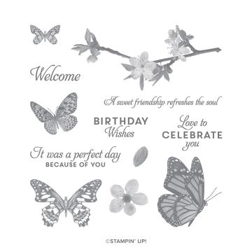 BUTTERFLY WISHES CLING STAMP SET (ENGLISH)