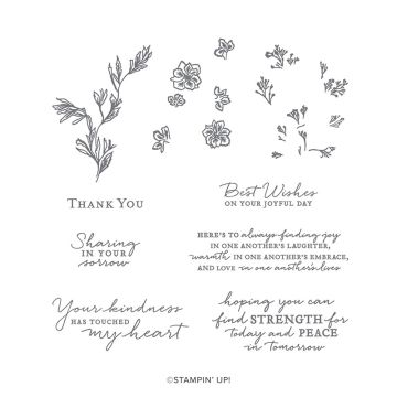 PATH OF PETALS PHOTOPOLYMER STAMP SET (ENGLISH)