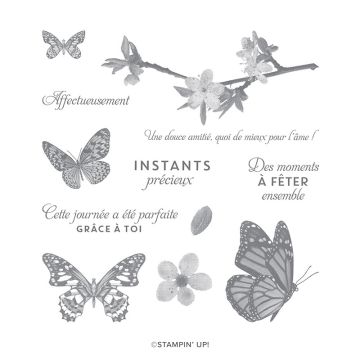 PAPILLONS ATTENTIONNÉS CLING STAMP SET (FRENCH)