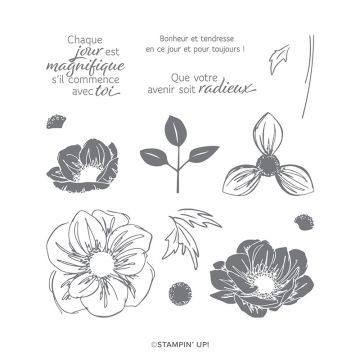 SET DE TAMPONS RÉSINE ESSENCE FLORALE (FRANÇAIS)