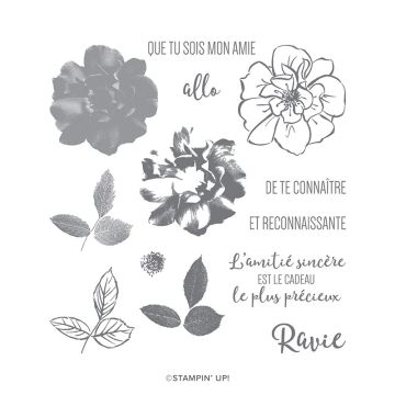 ROSE SAUVAGE PHOTOPOLYMER STAMP SET (FRENCH)