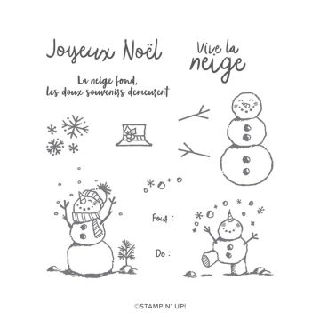 LA NEIGE PREND VIE PHOTOPOLYMER STAMP SET (FRENCH)