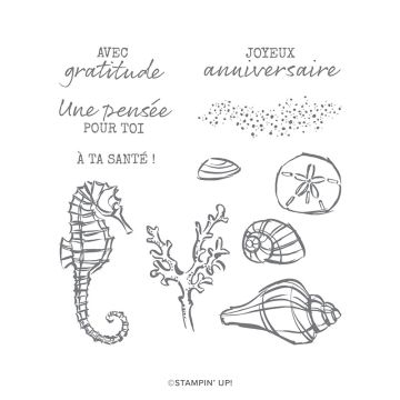 SET DE TAMPONS AMOVIBLES AIR MARIN (FRANÇAIS)