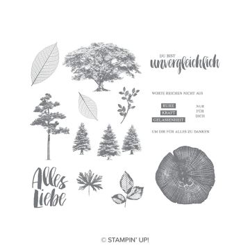 STEMPELSET ABLÖSBAR KRAFT DER NATUR (DEUTSCH)