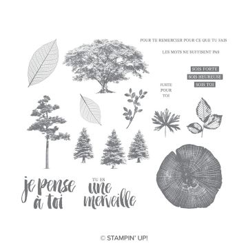 RACINES DE VIE CLING STAMP SET (FRENCH)
