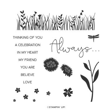 FIELD OF FLOWERS PHOTOPOLYMER STAMP SET