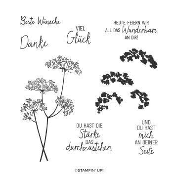 STEMPELSET KLARSICHT WIESENGLÜCK (DEUTSCH)