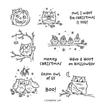 STAMP SET CLING HAVE A HOOT (ENGLISH)