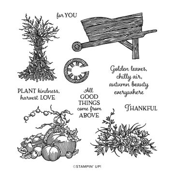 AUTUMN GOODNESS PHOTOPOLYMER STAMP SET