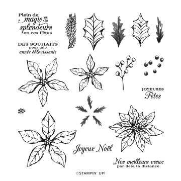 SET DE TAMPONS EN RÉSINE PÉTALES DE POINSETTIA (FRANÇAIS)