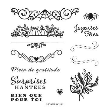 FOTOPOLYMEERSTEMPELSET CÉLÉBRATION D’OCCASIONS (FRANS)