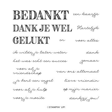 BEDANKEN IN STIJL PHOTOPOLYMER STAMP SET (DUTCH)