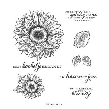 CLINGSTEMPELSET BIJZONDERE ZONNEBLOEMEN (NEDERLANDS)