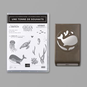 UNE TONNE DE SOUHAITS-PRODUCTPAKKET (FRANS)